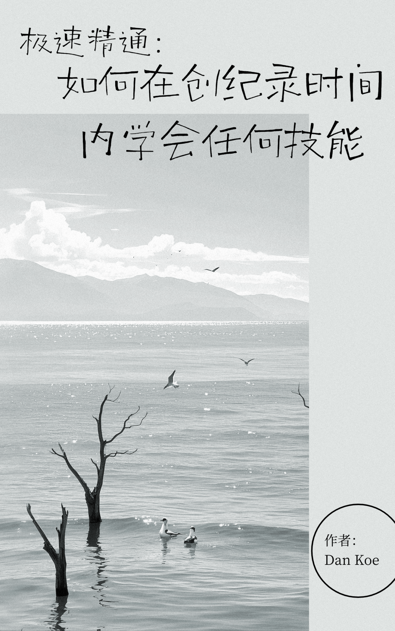 《极速精通：如何在创纪录时间内学会任何技能》